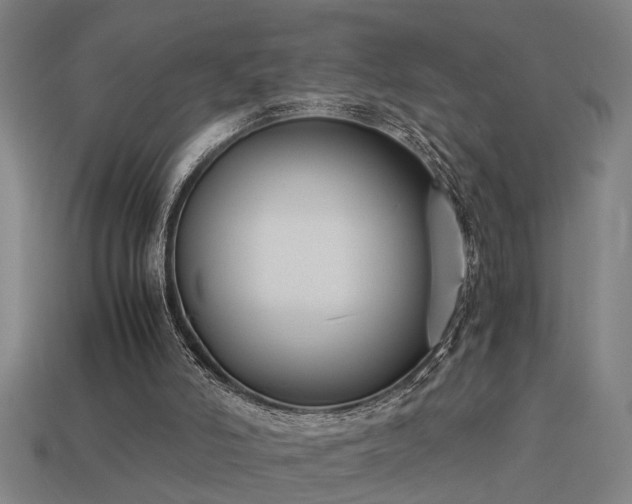 X0000113950006200909251348
