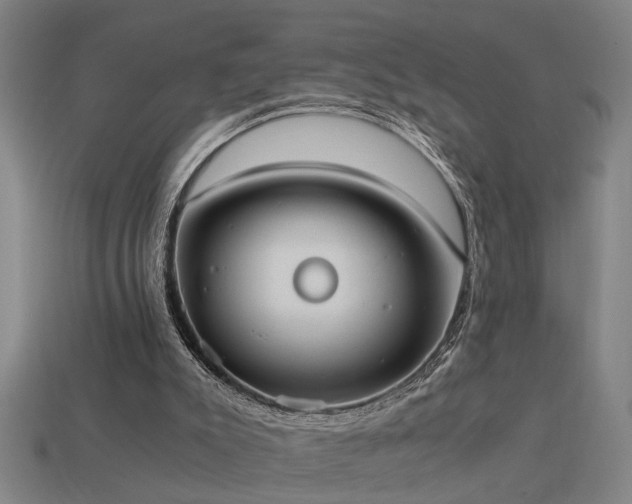 X0000113950007200909251348