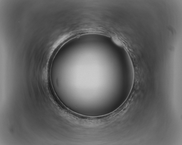 X0000113950008200909251348