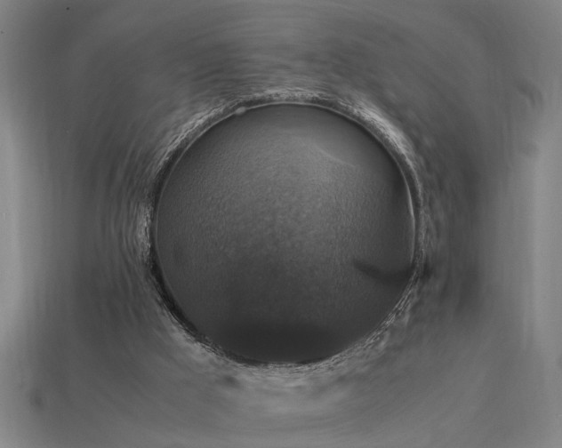 X0000113950009200909251348