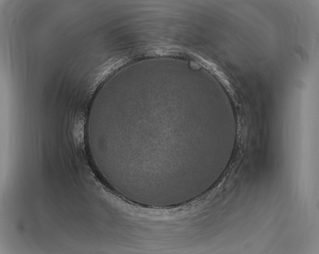 X0000113950010200909251348