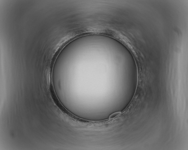 X0000113950011200909251348
