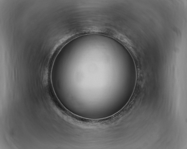 X0000113950012200909251348