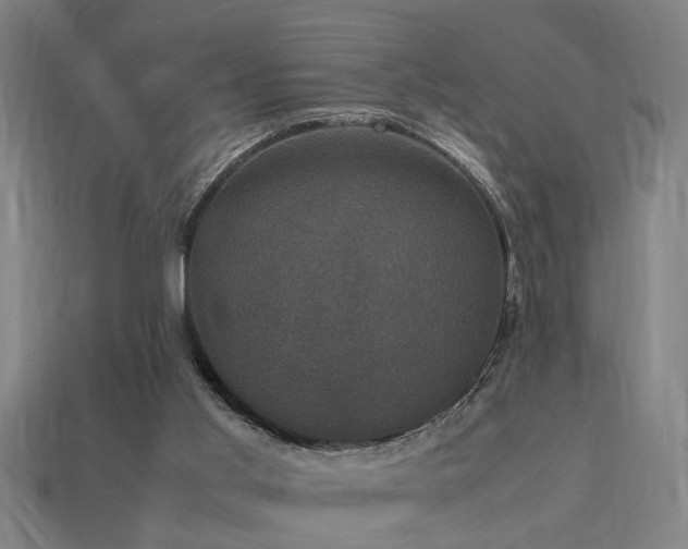 X0000113950013200909251348