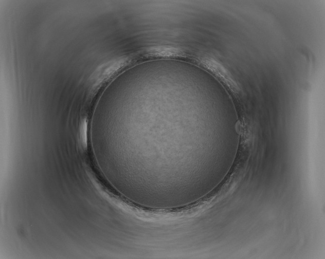 X0000113950014200909251348