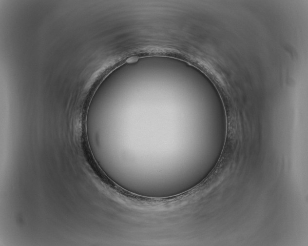 X0000113950015200909251348