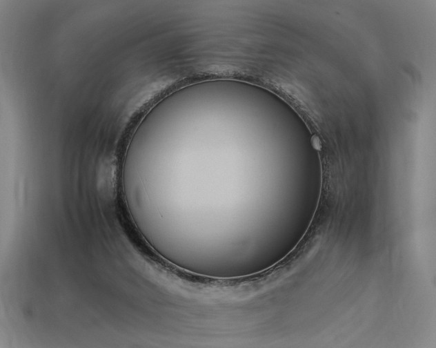 X0000113950016200909251348