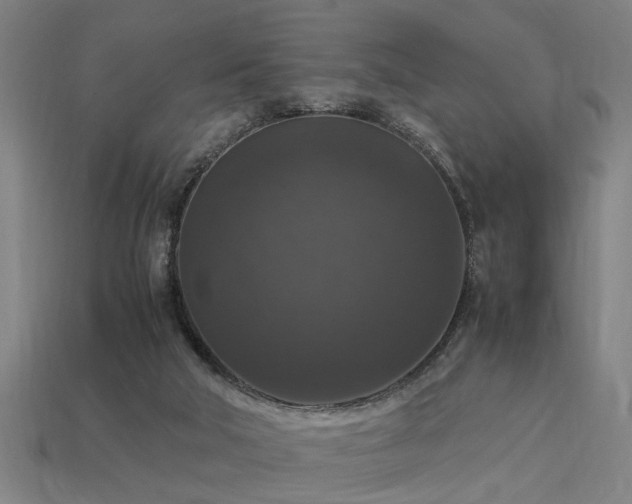 X0000113950018200909251348