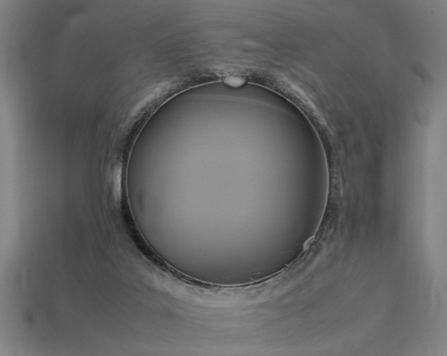 X0000113950019200909251348
