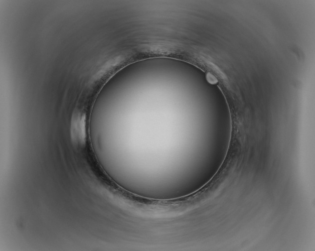 X0000113950020200909251348