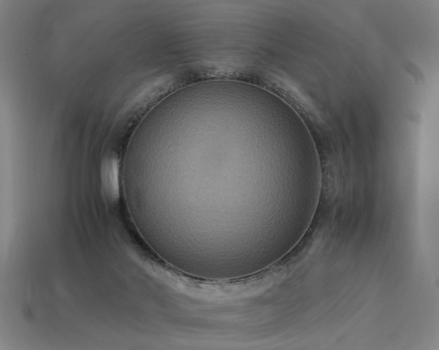 X0000113950022200909251348