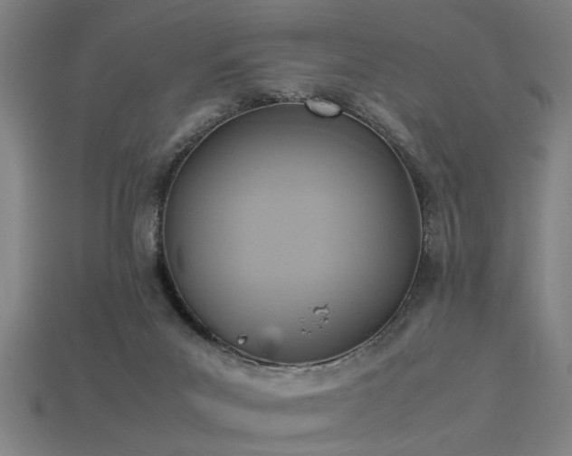 X0000113950023200909251348