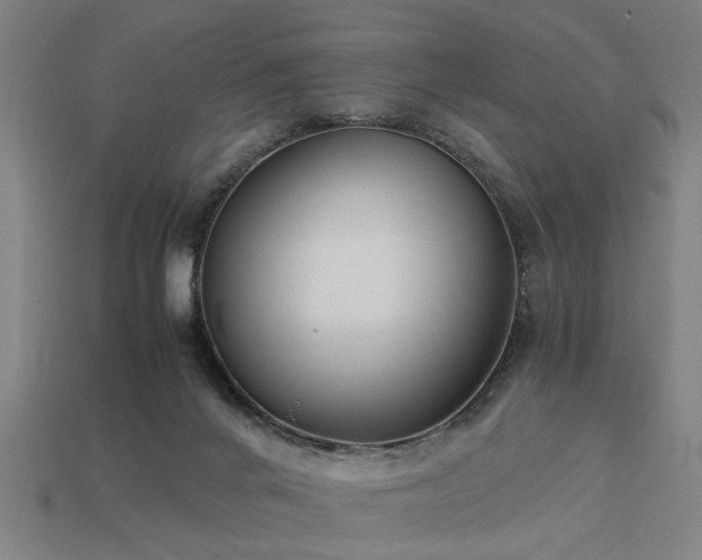 X0000113950024200909251348
