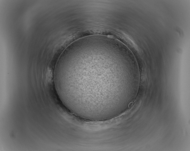 X0000113950025200909251348