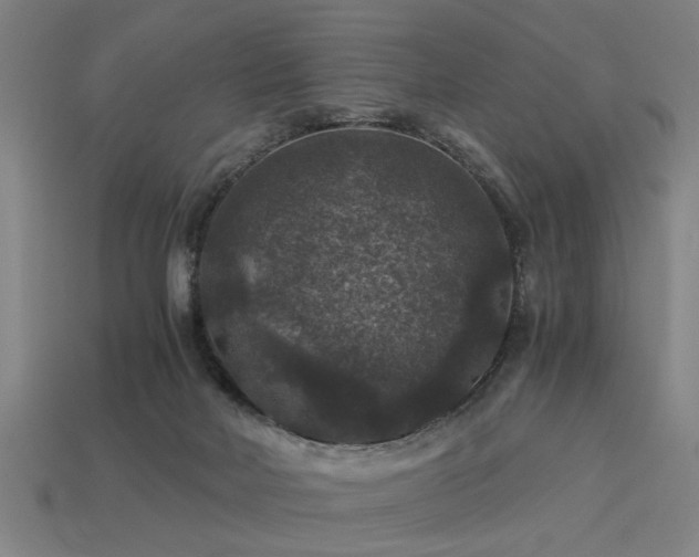 X0000113950026200909251348