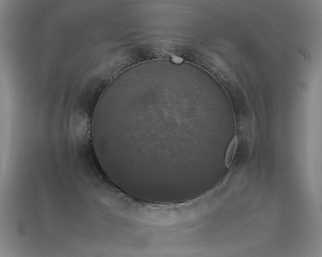 X0000113950029200909251348