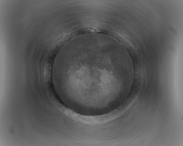 X0000113950030200909251348