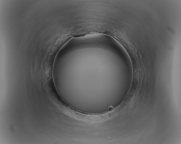 X0000113950031200909251348