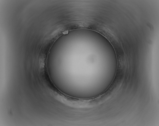 X0000113950032200909251348