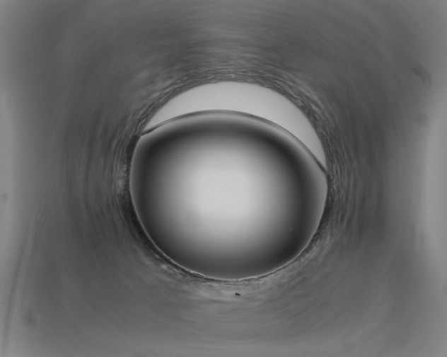 X0000113950033200909251348
