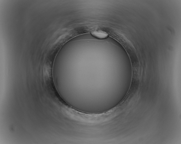 X0000113950035200909251348