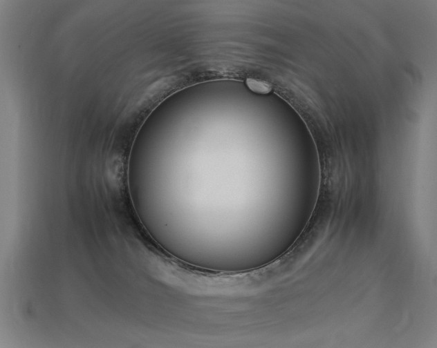 X0000113950036200909251348
