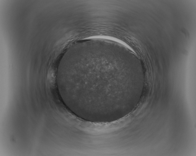 X0000113950037200909251348