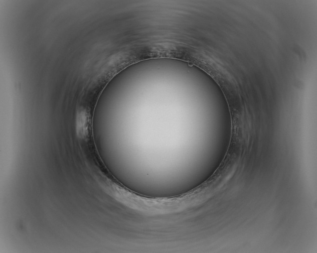 X0000113950038200909251348