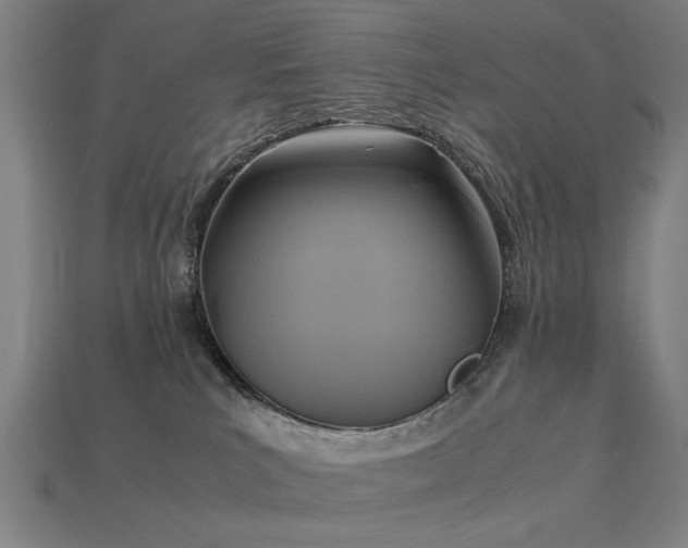 X0000113950039200909251348