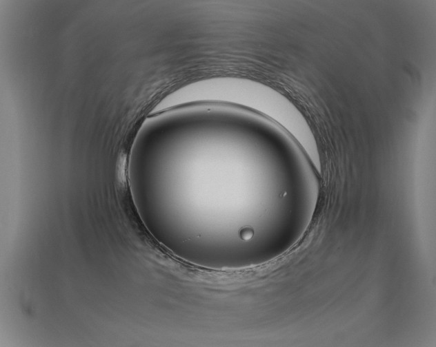 X0000113950041200909251348