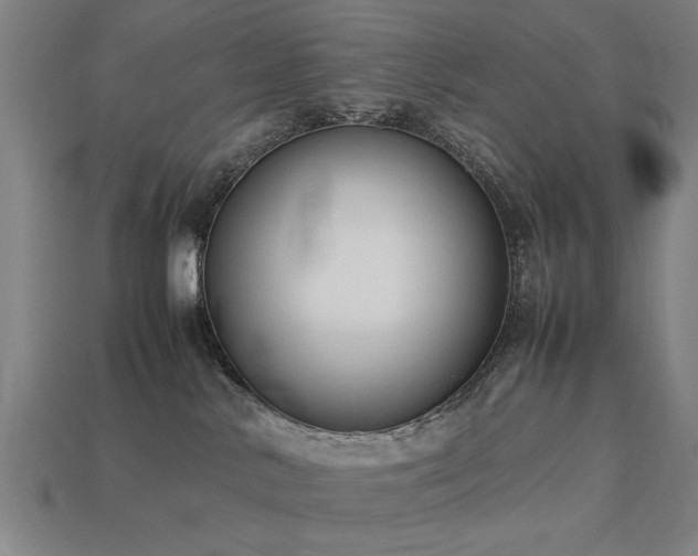 X0000113950042200909251348