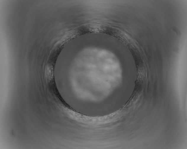 X0000113950043200909251348