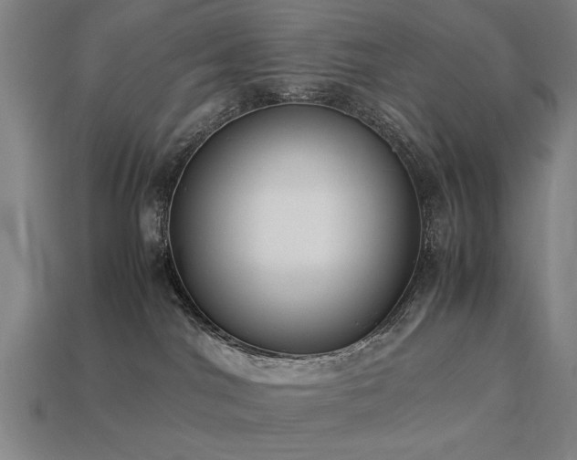 X0000113950044200909251348