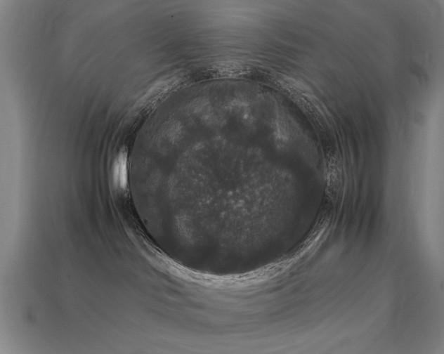 X0000113950046200909251348