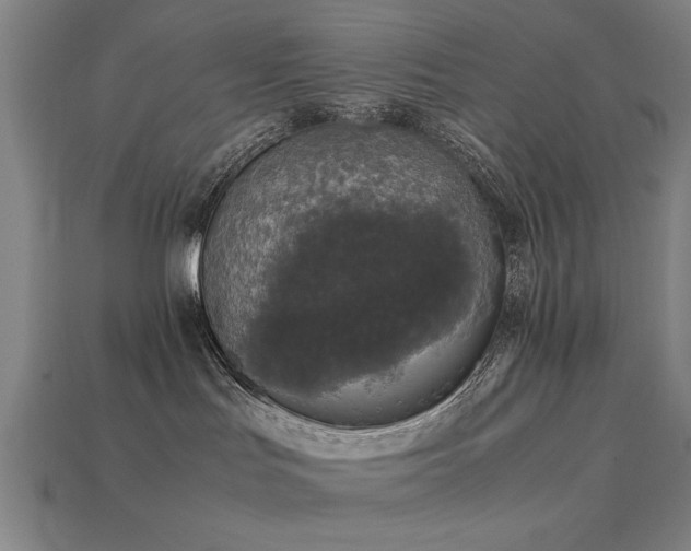 X0000113950047200909251348
