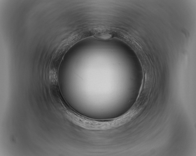 X0000113950048200909251348