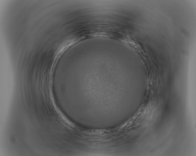 X0000113950049200909251347