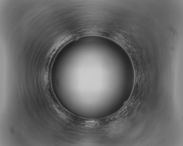 X0000113950050200909251347