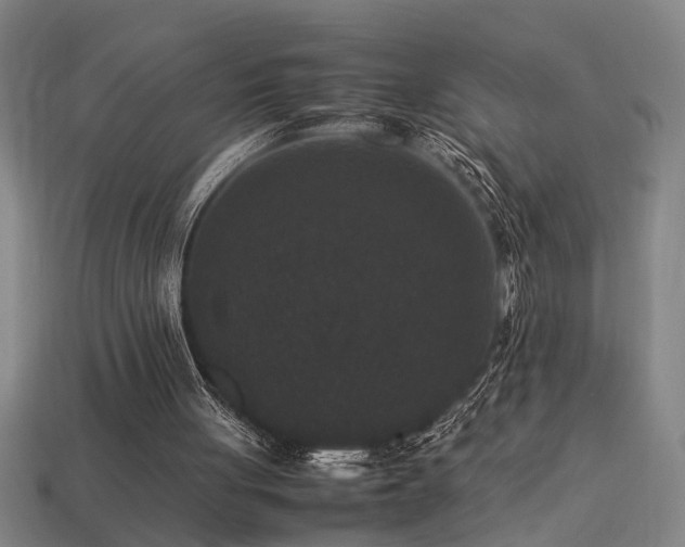 X0000113950051200909251347