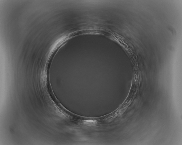 X0000113950053200909251347