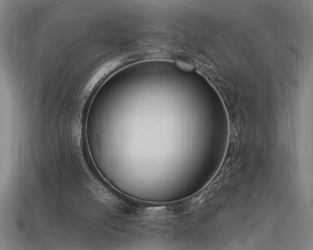 X0000113950054200909251347