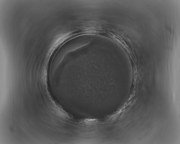 X0000113950055200909251347