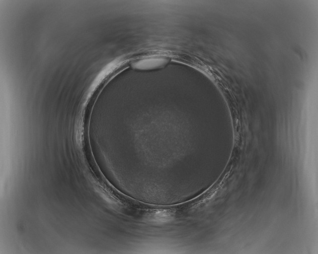 X0000113950056200909251347