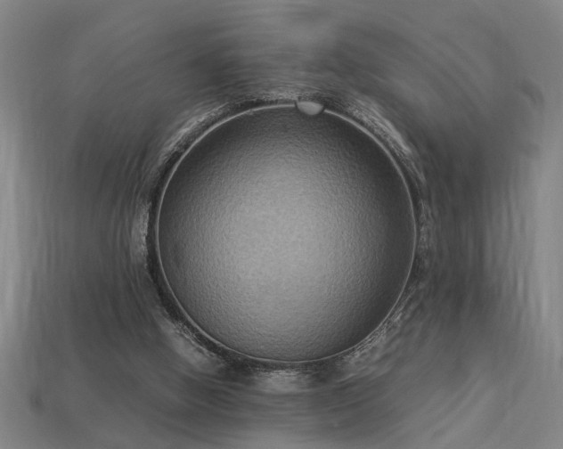 X0000113950058200909251347
