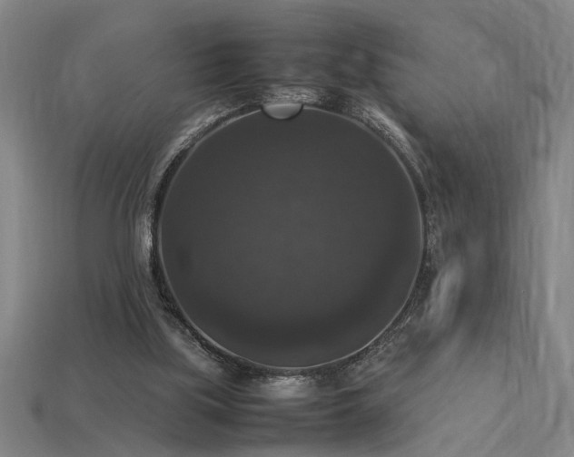 X0000113950059200909251347