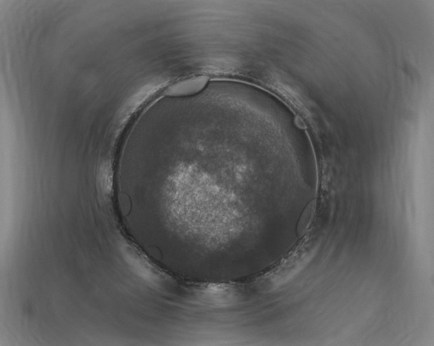 X0000113950060200909251347