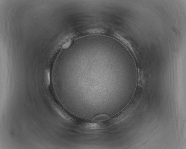 X0000113950061200909251347