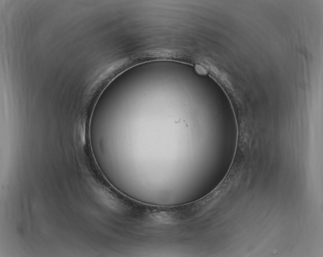 X0000113950062200909251347