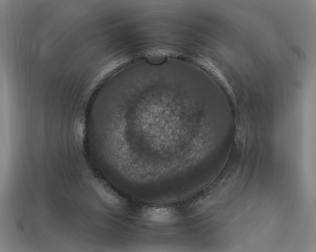 X0000113950063200909251347