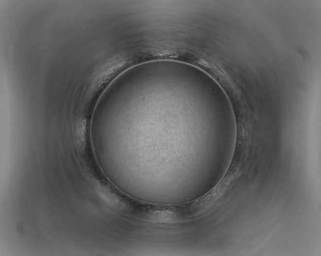 X0000113950066200909251347